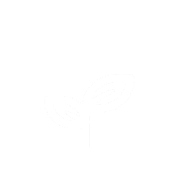 مراقبت خانه